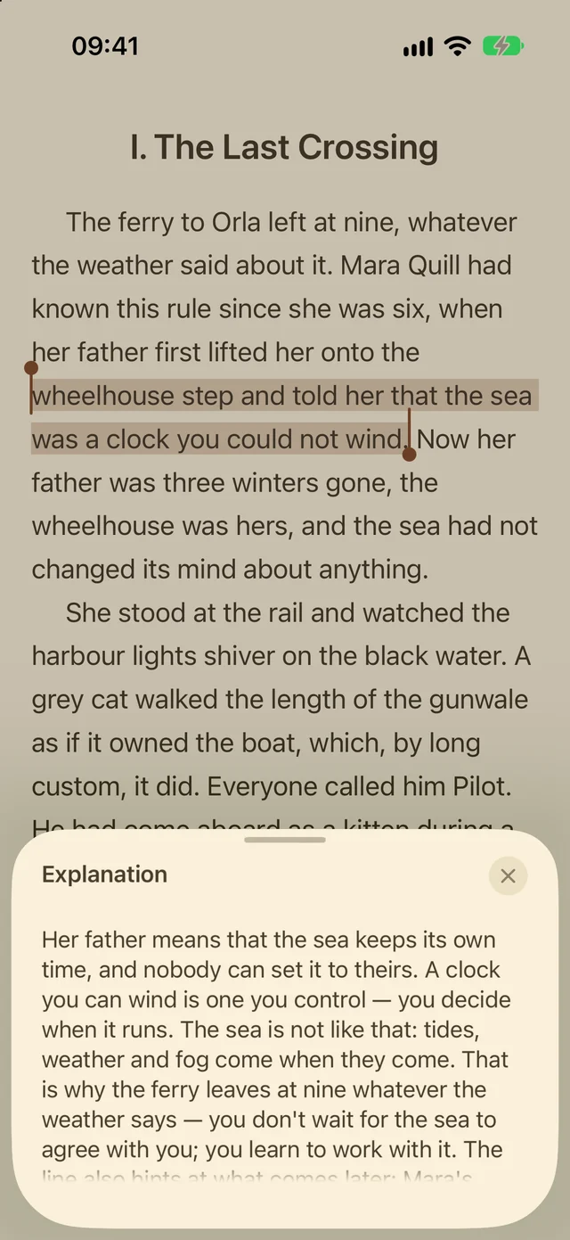 A word, in its sentence